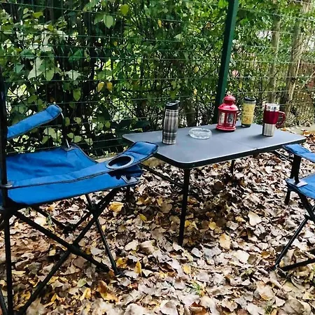 Lovely Escape House In A Frame With Garden